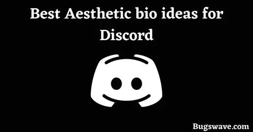50+ Aesthetic Discord bio ideas