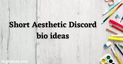 Aesthetic Discord bio ideas