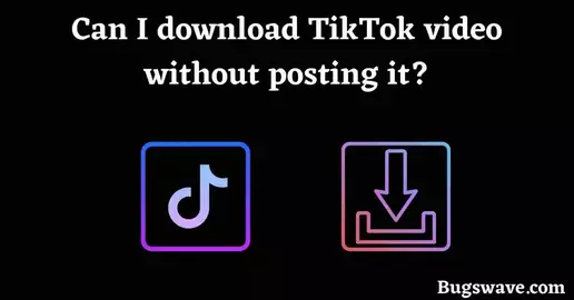 Can I download TikTok video without posting it