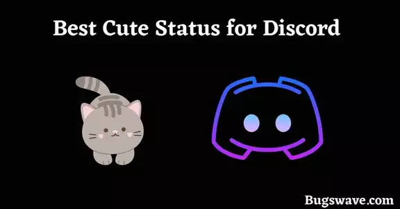 Some Best Cute Status for Discord