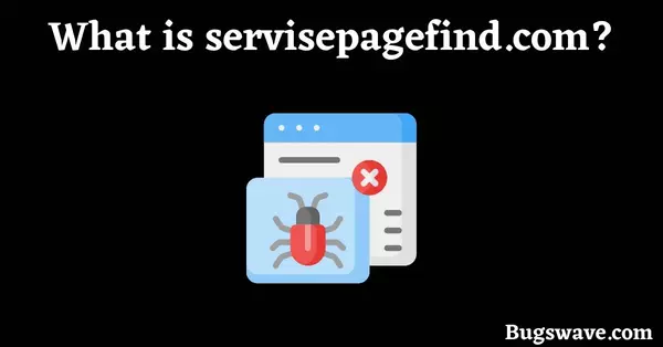 What is https://servisepagefind.com/? 