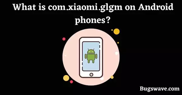 com.xiaomi.glgm mean