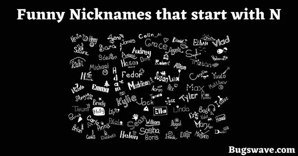 Funny nicknames that start with N 
